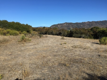 Large building pad 01.JPG